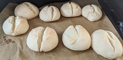 My first bread rolls ever