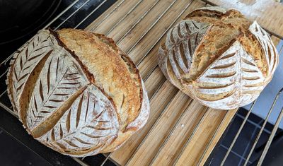 Scored breads with flour
