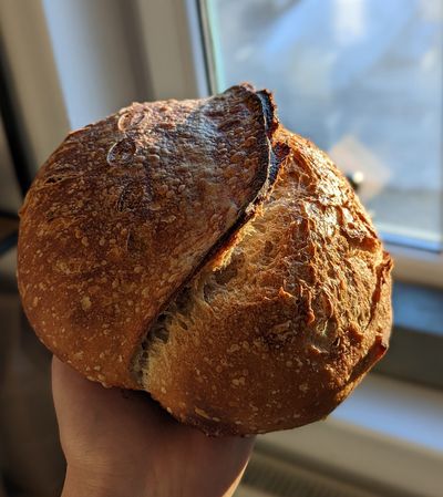 Successful Ear!